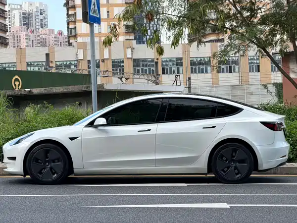Tesla Model 3 2021