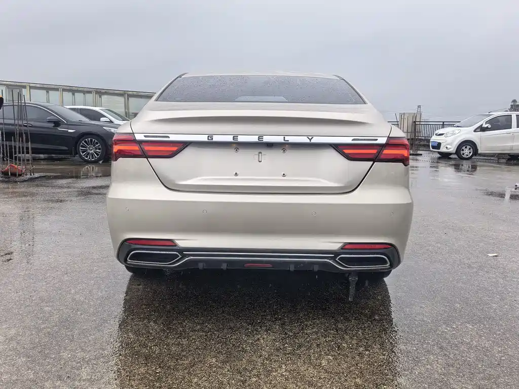 Geely Binrui 2019