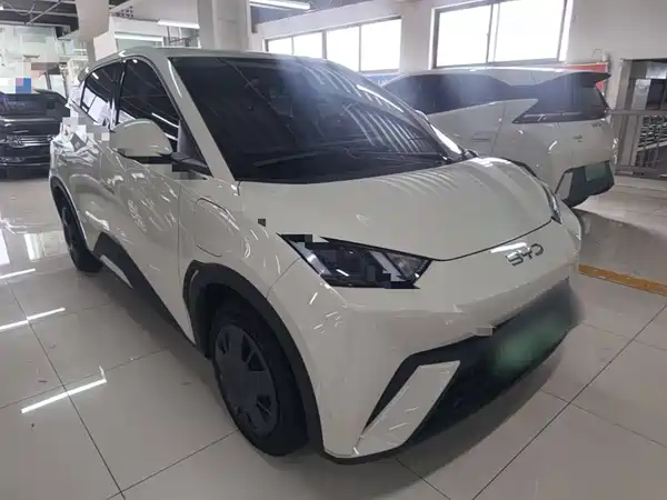 BYD Seagull 2024
