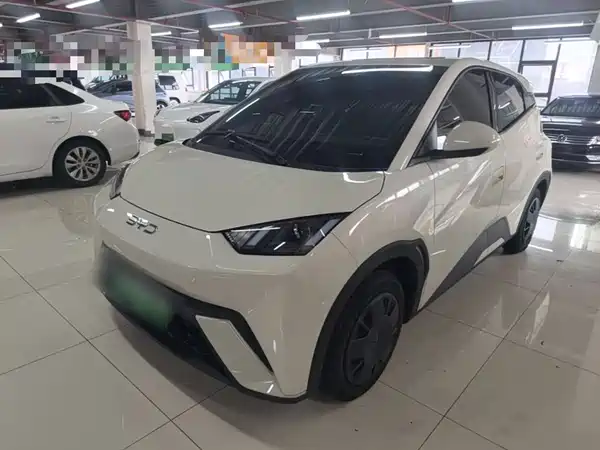 BYD Seagull 2024