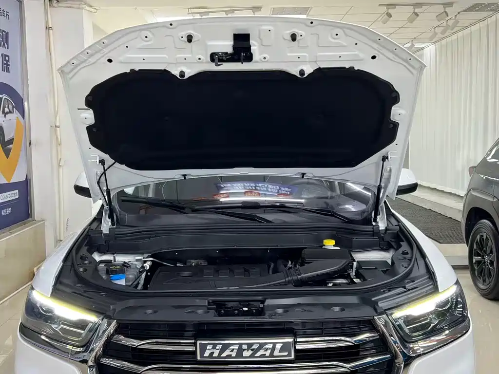Haval H6 2023 — фото 23