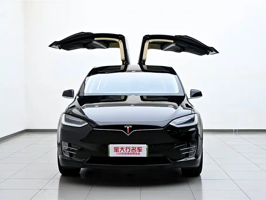 Tesla Model X 2017 — фото 14