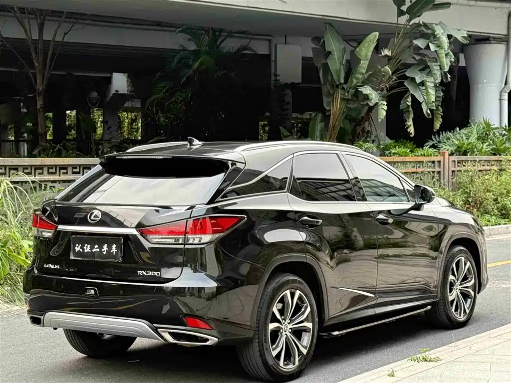 Lexus RX 2021 — фото 4