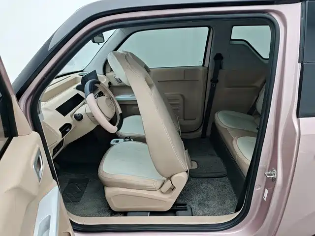 Geely Galaxy Panda 2024 — фото 12