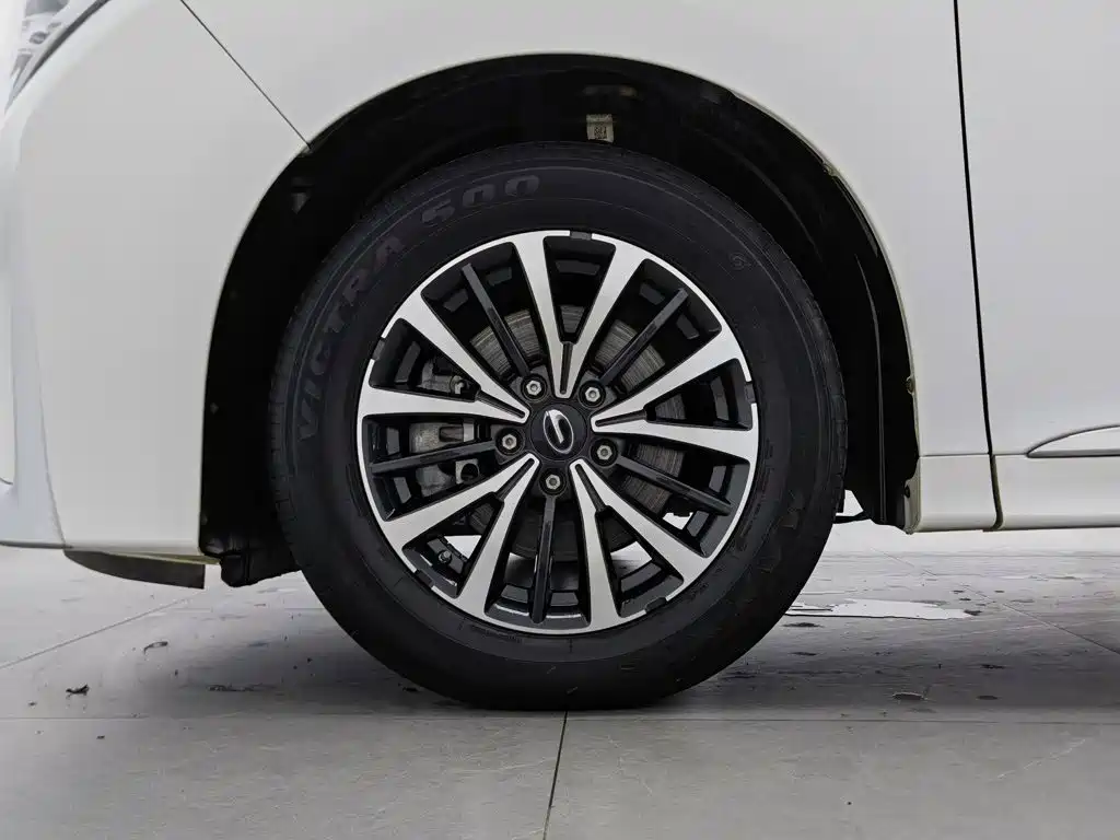 GAC Trumpchi M8 2021 — фото 17