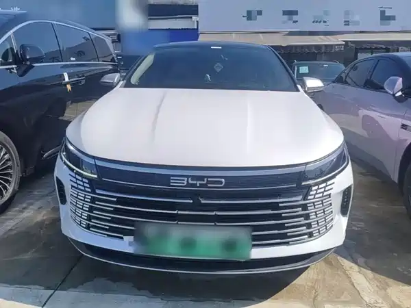 BYD Destroyer 05 2024