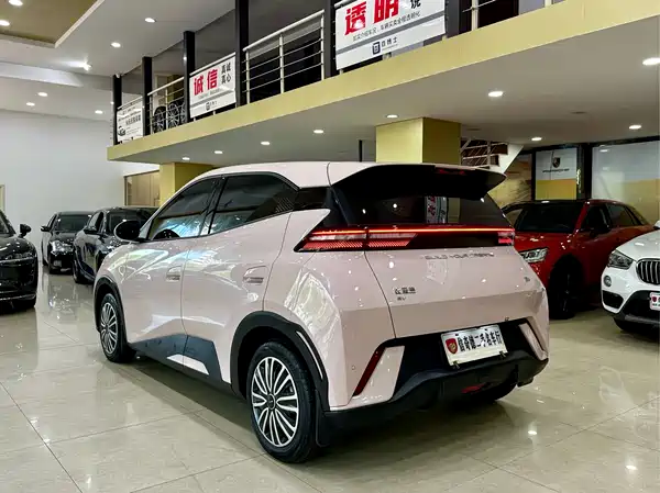 BYD Seagull 2024