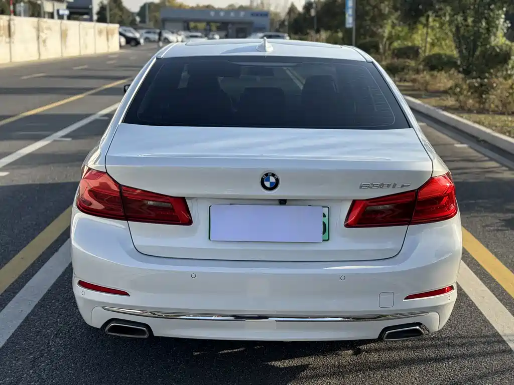 BMW 5 Series New Energy 2020 — фото 4