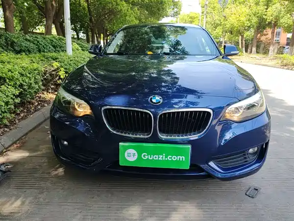 BMW 2 Series 2015