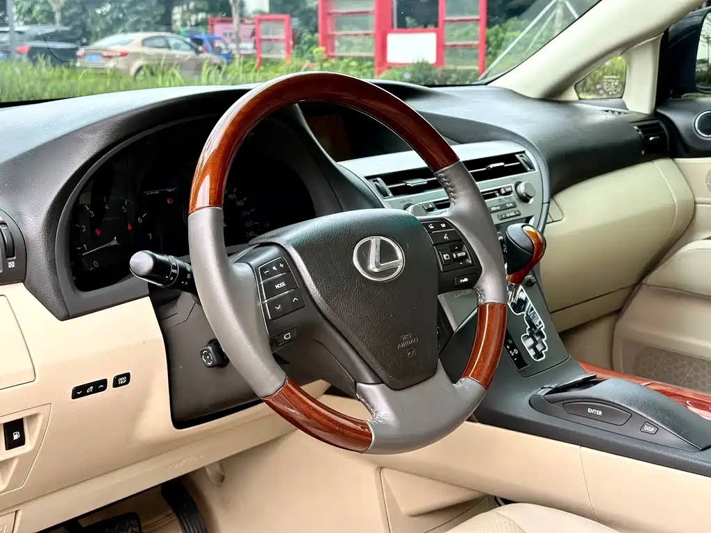 Lexus RX Classic 2009 — фото 11