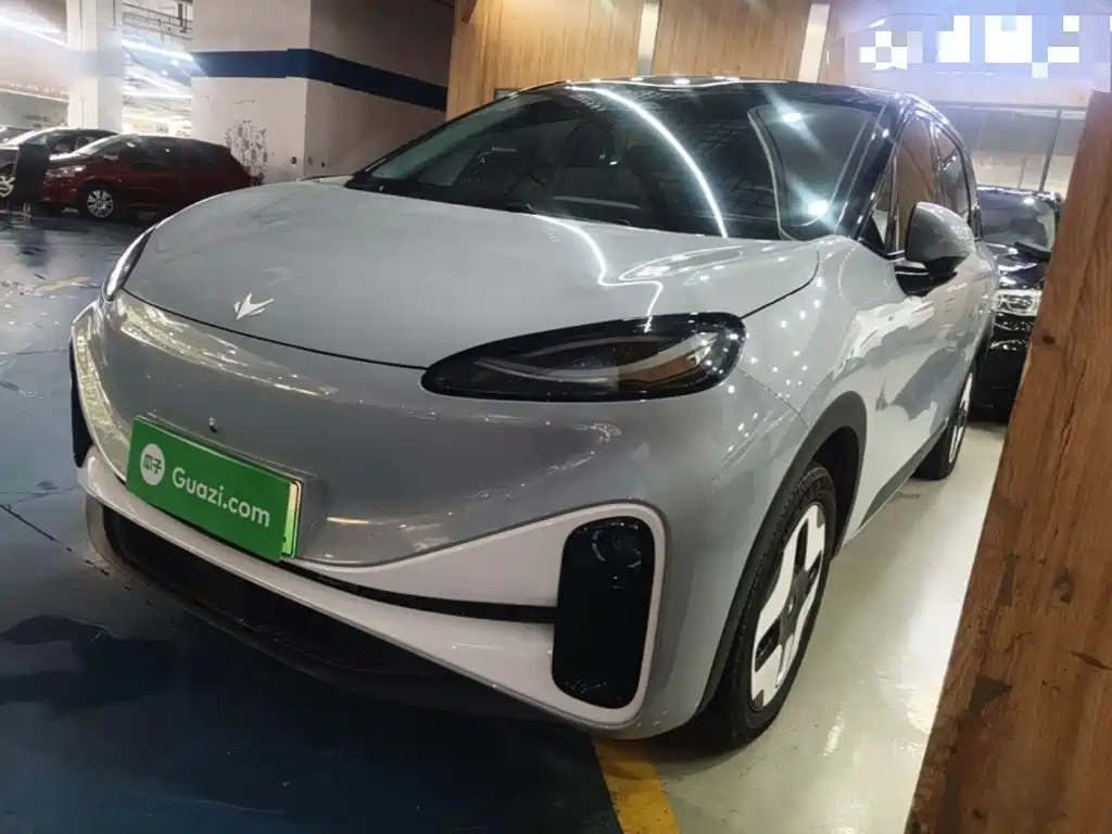 Arcfox Koala 2024 — фото 1