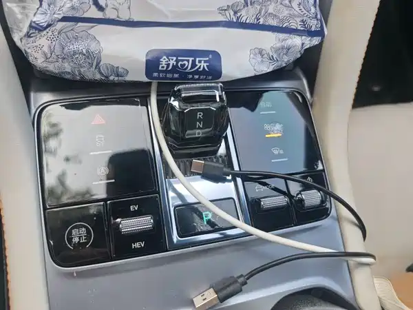 BYD Song PLUS New Energy 2024