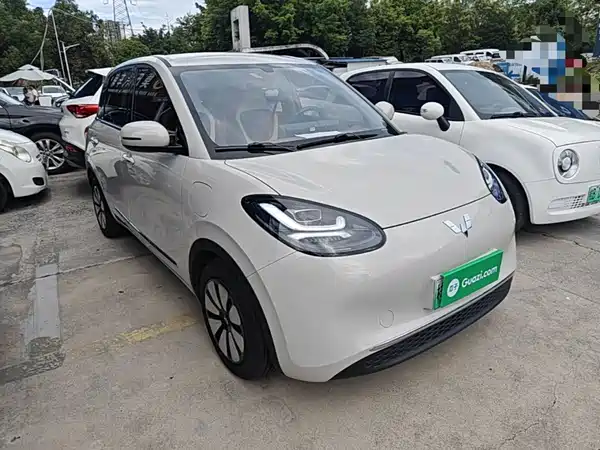 Wuling Bingo 2024