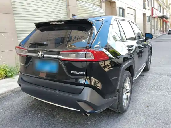 Toyota Wildlander 2022