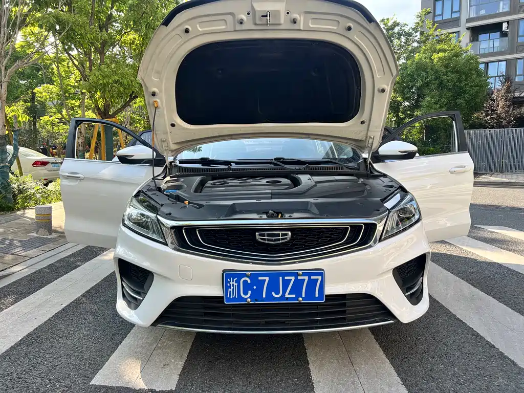 Geely Binrui 2019 — фото 24