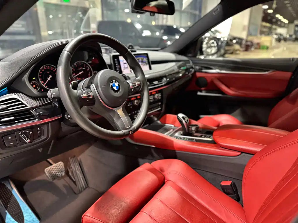 BMW X6 2018 — фото 19