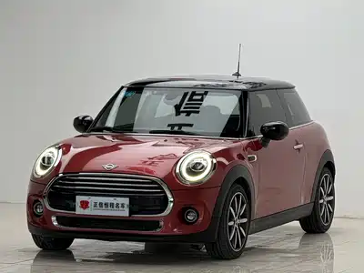 MINI MINI 2020
