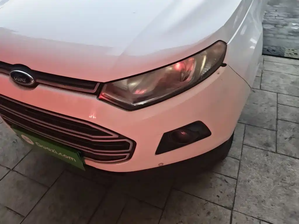 Ford EcoSport 2015 — фото 24