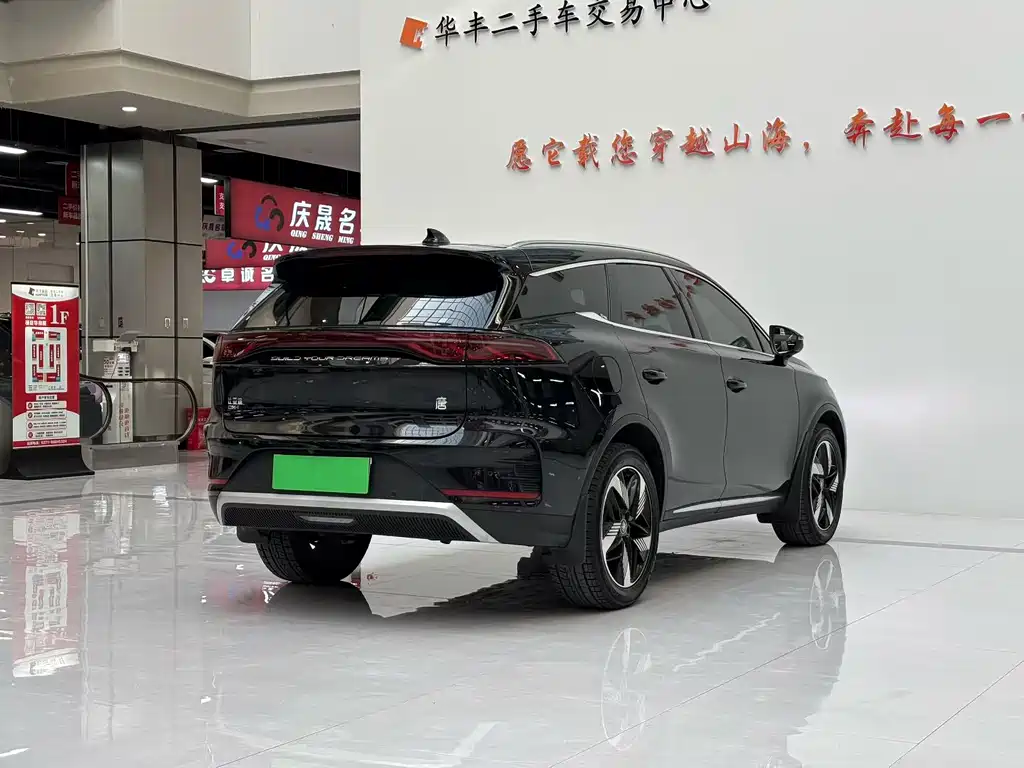 BYD Tang New Energy 2025 — фото 9