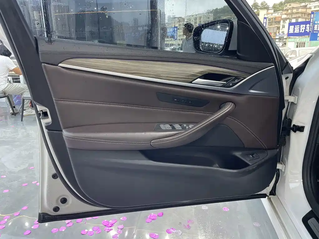 BMW 5 Series 2019
