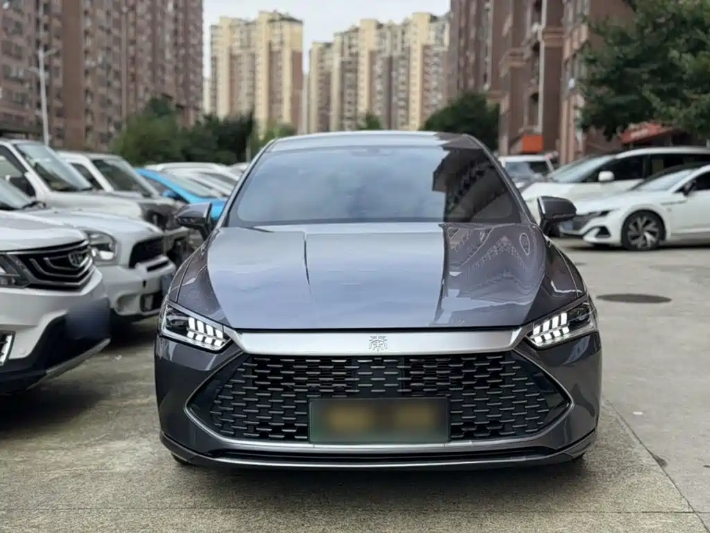 BYD Qin PLUS 2024 — фото 25
