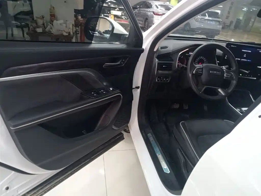 Haval H6 2023 — фото 16