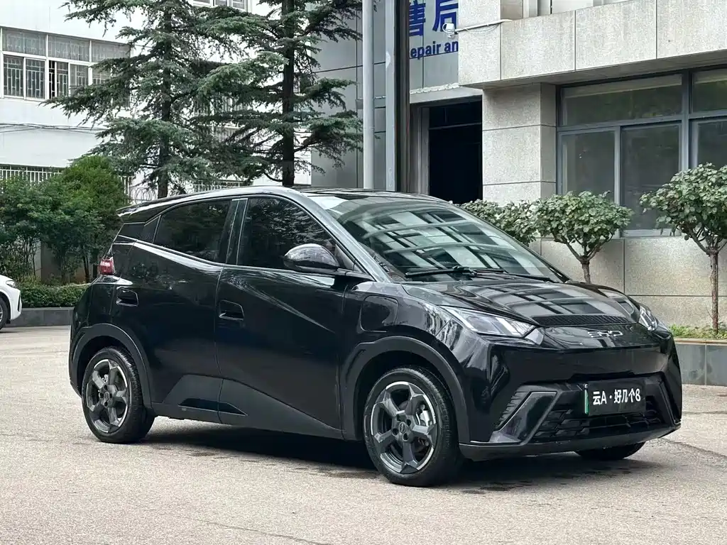 BYD Seagull 2023
