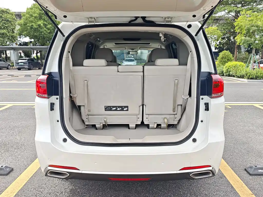 GAC Trumpchi M8 2019 — фото 22