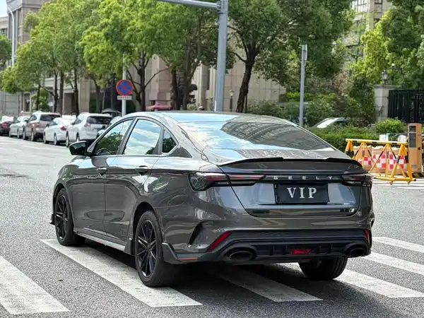 Geely Binrui 2024