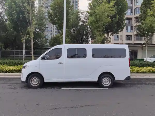 Wuling Yangguang 2024