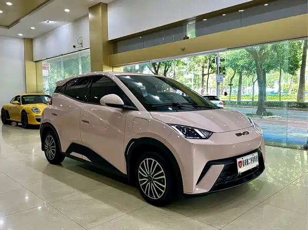BYD Seagull 2024