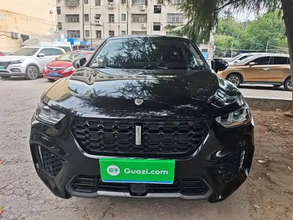 Wey VV5 2019