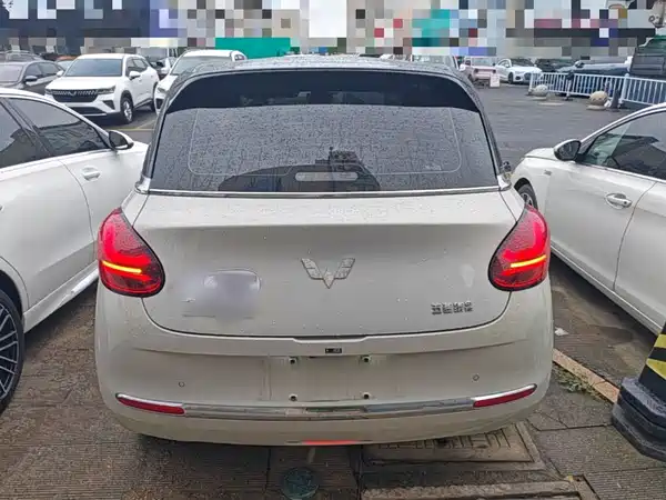 Wuling Bingo 2024