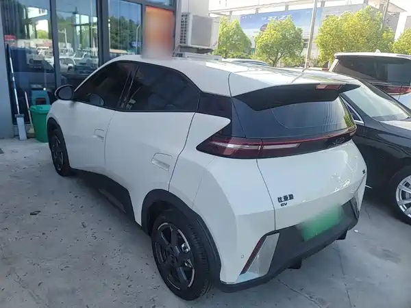 BYD Seagull 2024