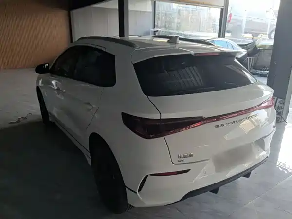 BYD e2 2021