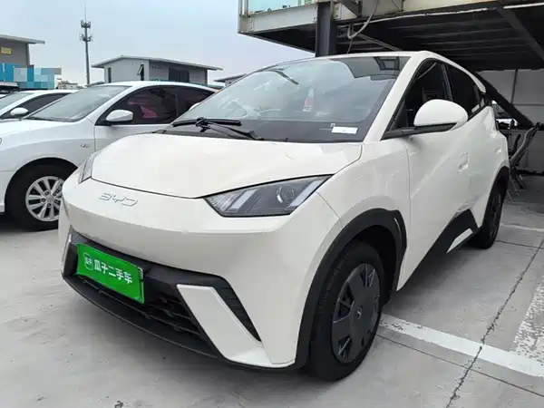 BYD Seagull 2024