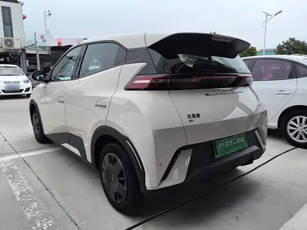 BYD Seagull 2024