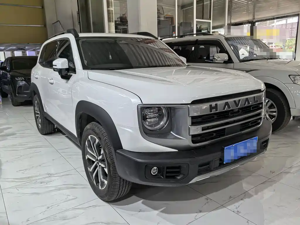 Haval Big Dog 2024