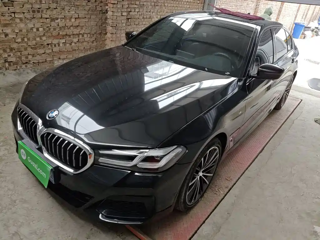 BMW 5 Series 2019