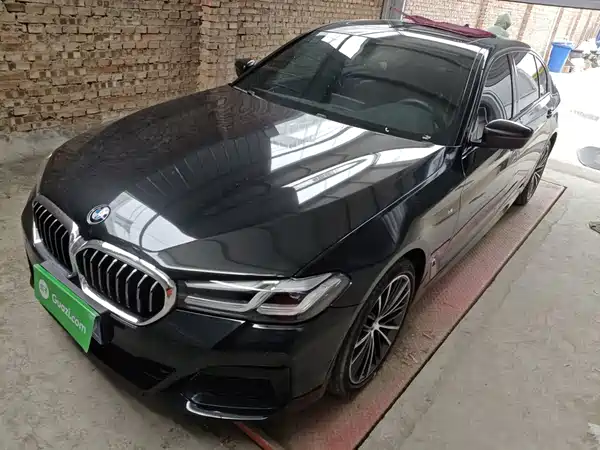 BMW 5 Series 2019