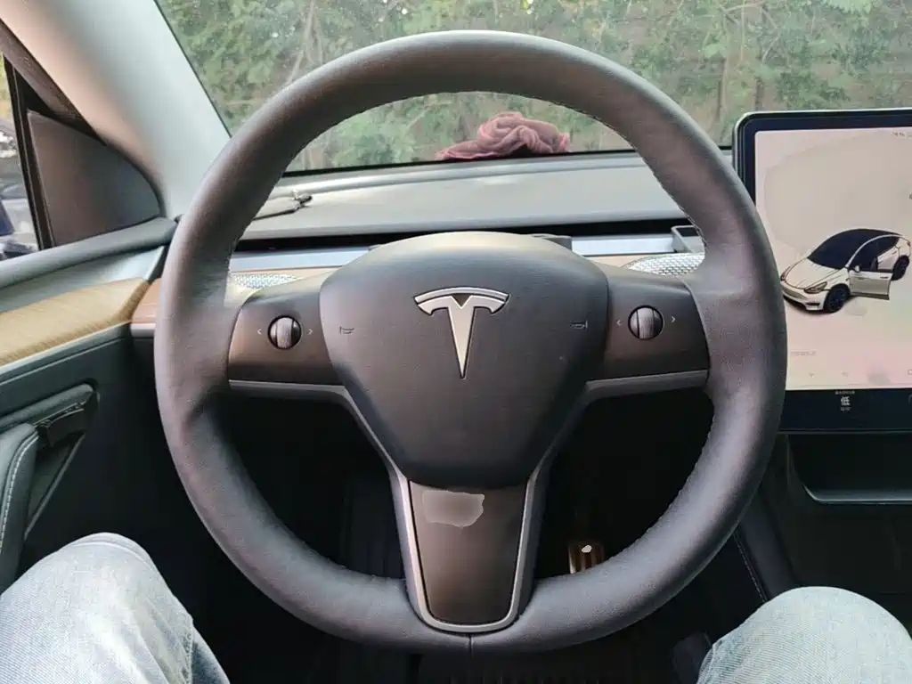 Tesla Model Y 2021 — фото 11