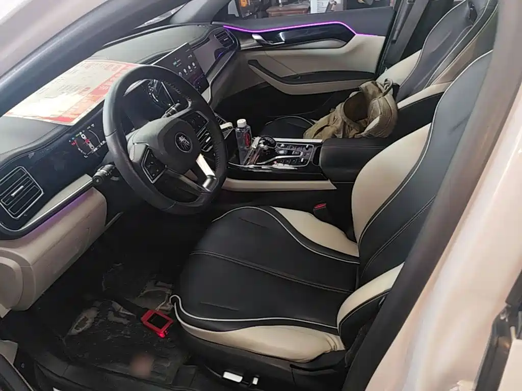 BYD Qin PLUS 2022 — фото 15
