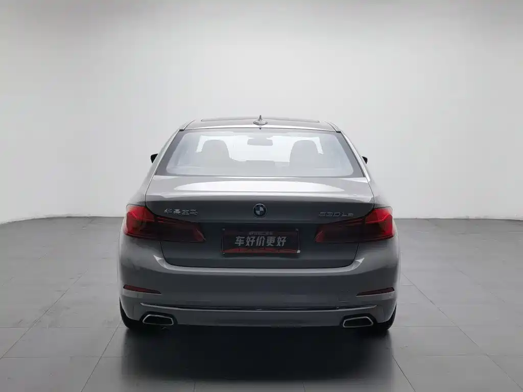 BMW 5 Series New Energy 2020