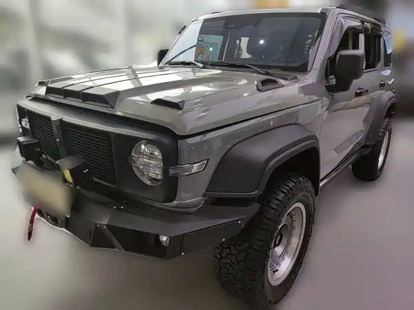 Tank 300 New Energy 2025