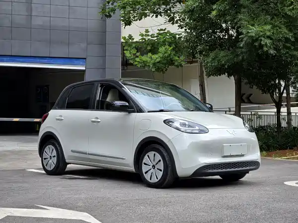 Wuling Bingo 2024