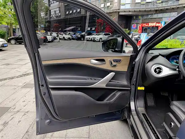 Denza X 2020