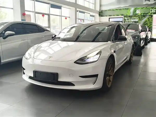 Tesla Model 3 2020
