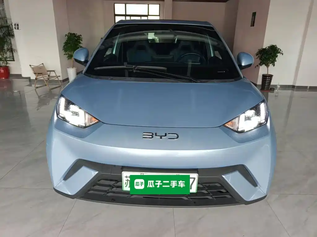 BYD Seagull 2024