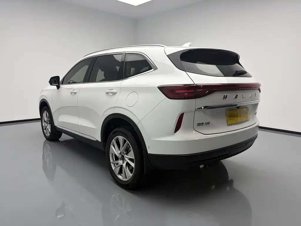 Haval H6 2020 — фото 6