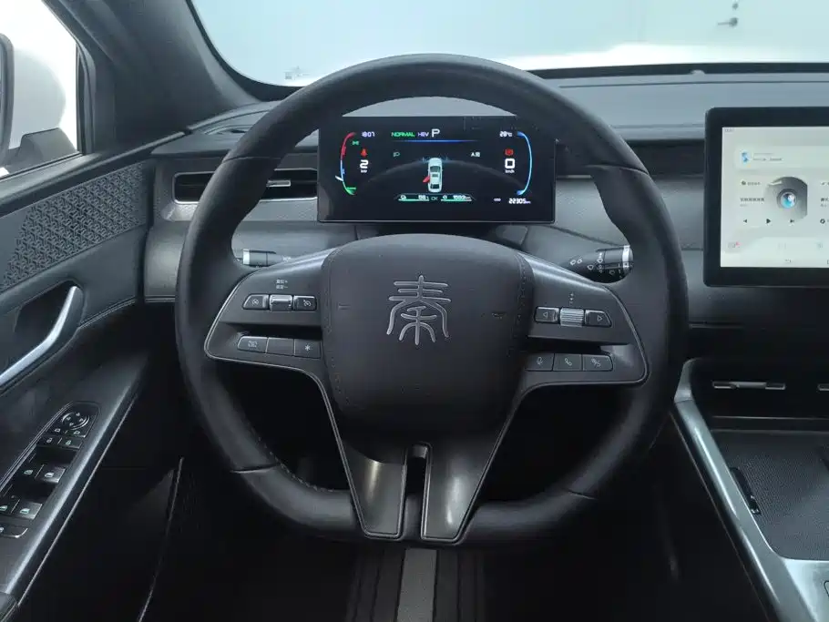 BYD Qin PLUS 2025 — фото 15